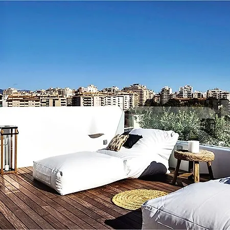 Hm Balanguera Palma